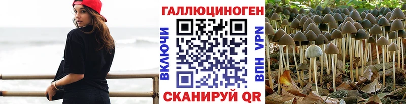 MEGA рабочий сайт  Кыштым  Псилоцибиновые грибы ЛСД  сколько стоит 